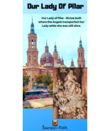 Our Lady Of Pilar DVD - $5.95