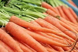 Fresh 401+Tendersweet Carrot Seeds Organic Summer Vegetable Patio Container Ship - $6.50