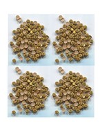 MEDALLION Designer RHINESTUDS 5mm Hot Fix   GOLD    2 Gross  288 Pieces - $6.78