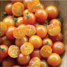 100pcs Patio Choice Yellow Cherry Tomato Seeds - Heirloom, Non-GMO, Supe... - $15.98