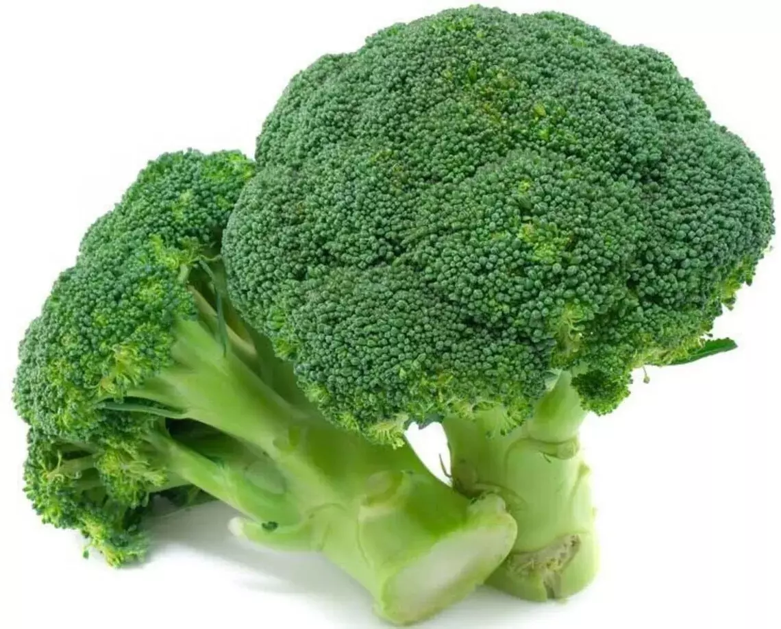 25+ BROCCOLI SEEDS - WALTHAM 29 -- HEIRLOOM - ORGANIC - NON GMO ----- FRESH - $2.39