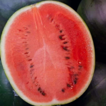 100 Black Diamond Watermelon, NON-GMO, Large Watermelon Fruit Seeds - £15.93 GBP