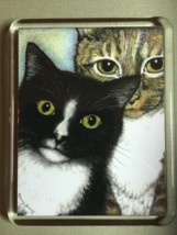 Cat Art Acrylic Large Magnet - Homer and Rudy - $8.00