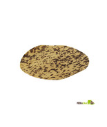 4 in. Dia. Bamboo Leaf Coaster - $229.17 CAD