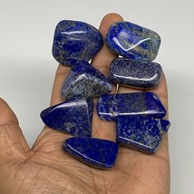 147.6g,1.1&quot;-1.7&quot;, 8pcs, Natural Lapis Lazuli Tumbled Stone @Afghanistan, B30273 - £13.78 GBP