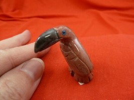 y-bir-to-39 little red white Toucan tropical bird soapstone carving love... - $8.59