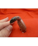 y-bir-to-39 little red white Toucan tropical bird soapstone carving love... - $161.90 MXN