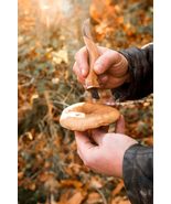 BUMPY Handmade Mushroom foraging knife - £138.74 GBP