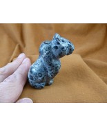 Y-CHE-726) Leopard jasper CHEETAH gemstone figurine I love wild CATS cat... - €20,12 EUR