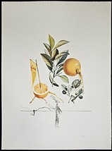 Salvador Dali &quot;Pamplemousse Erotique&quot; Original Hand Signed Etching Surreal - $5,643.00