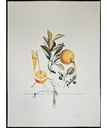 SALVADOR DALI &quot;Pamplemousse Erotique&quot; Original HAND SIGNED Etching Surreal - £4,438.94 GBP