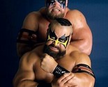 THE POWERS OF PAIN 8X10 PHOTO WRESTLING PICTURE WWF NWA WARLORD BARBARIAN - $4.94