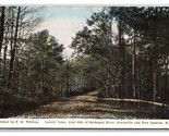 Lovers Lane Greenville and New Ipswich New Hampshire NH DB Postcard R29 - £3.90 GBP
