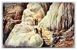 Willows Jenolan Caves New South Wales Australia Raphael Tuck 7478 Postcard O16 - £7.74 GBP