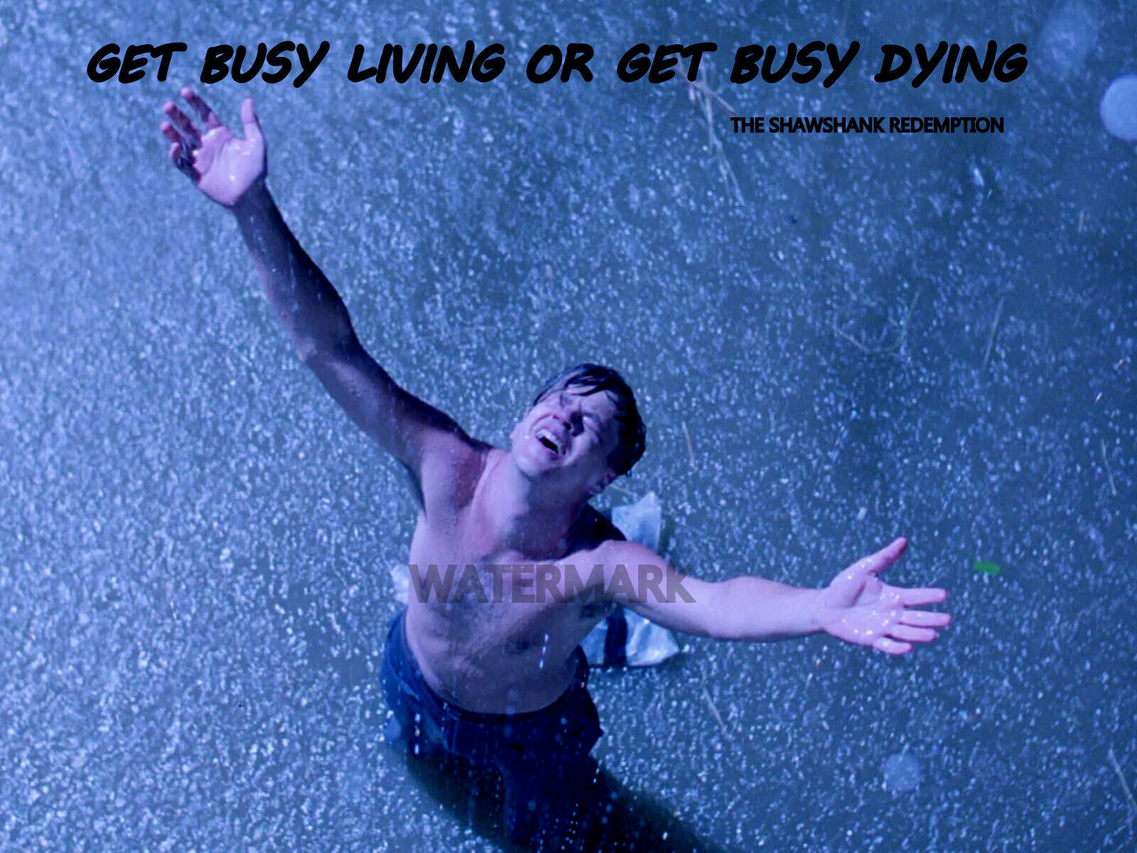 MOTIVATION SHAWSHANK REDEMPTION GET BUSY LIVING OR GET BUSY DYING PHOTO ... - $19.79