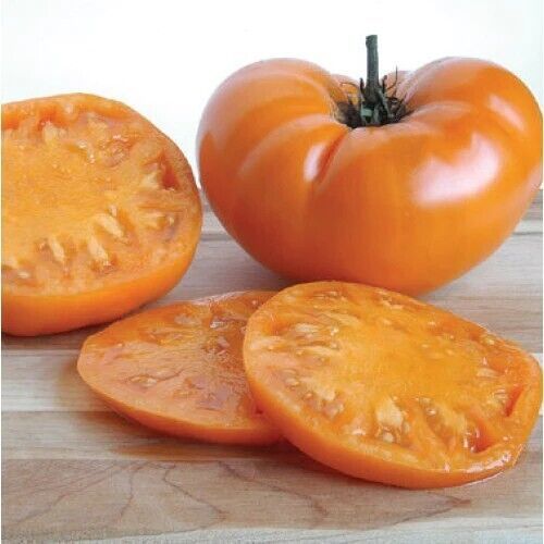 Primary image for FA Store 30 Seeds Tomato Kellogg’S Breakfast Beefsteak Indeterminate Heirloom Us