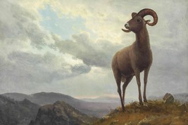 Long Horned Sheep by Albert Bierstadt available as Giclee Art Print + Ships Free - £31.16 GBP+
