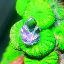 Carved Top Grade Quality 100% Natural Amethyst Leaf carving Loose Gemsto... - $506.16 MXN