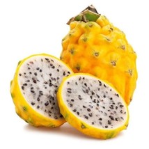 1 Pack 200 Yellow Pitaya Seeds Dragon Fruit Seed Organic Fruit Fresh Seeds USA - $5.98