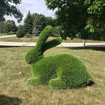 Outdoor Animal Sitting Rabbit Topiary Green Figures 34&quot; covered in Artif... - £1,055.54 GBP