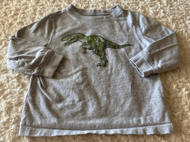 Faded Glory Boys Gray Green T Rex Dinosaur Long Sleeve Shirt 3T - $5.39