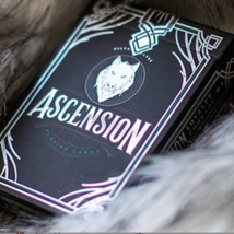 Ascension (Wolves) Playing Cards by Steve Minty - Rare Out Of Print - £18.15 GBP