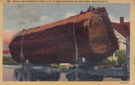 Giant Log En Route to Mill Oregon OR Postcard C04 - £2.34 GBP