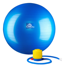 Professional Grade Stability Ball - Pro Series 1000 Lbs. Anti-Burst 2000... - $31.36