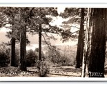 RPPC Landscape View Big Bear Lake California CA UNP Pedersen Photo Postc... - $4.90