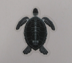 Sea Turtle Head X-Ray Transparent Sticker 2.25&quot; x 2&quot; (W) - $1.64