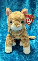 TY Beanie Baby - MATTIE the Cat w/tags (7 inch) Stuffed Animal Toy 2001 ... - $4.09 CAD