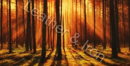 New Sunset in Trees Design Checkbook Cover - £7.92 GBP