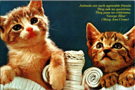 vintage Postcard The American Postcard Co. 1995 cute Kittens (C) - £3.78 GBP