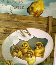 Easter Postcard Fantasy Baby Chicks Ladder Fence Cracked Egg Vintage Embossed  - $11.40