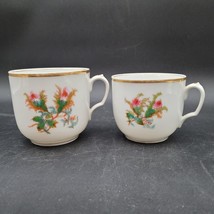 Two Antique c.1876 - 1880 Haviland Limoges Moss Rose Porcelain Coffee Te... - $24.74