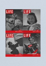 Life Magazine Lot of 4 Full Month of November 1946 4, 11, 18, 25 - £30.44 GBP