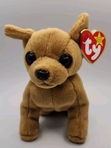 1999 Ty Beanie Baby &quot;Tiny&quot; Retired Chihuahua Dog BB6 - £9.02 GBP