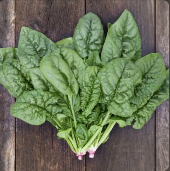 Bloomsdale Spinach Organic 100 Fresh Seeds - £14.32 GBP