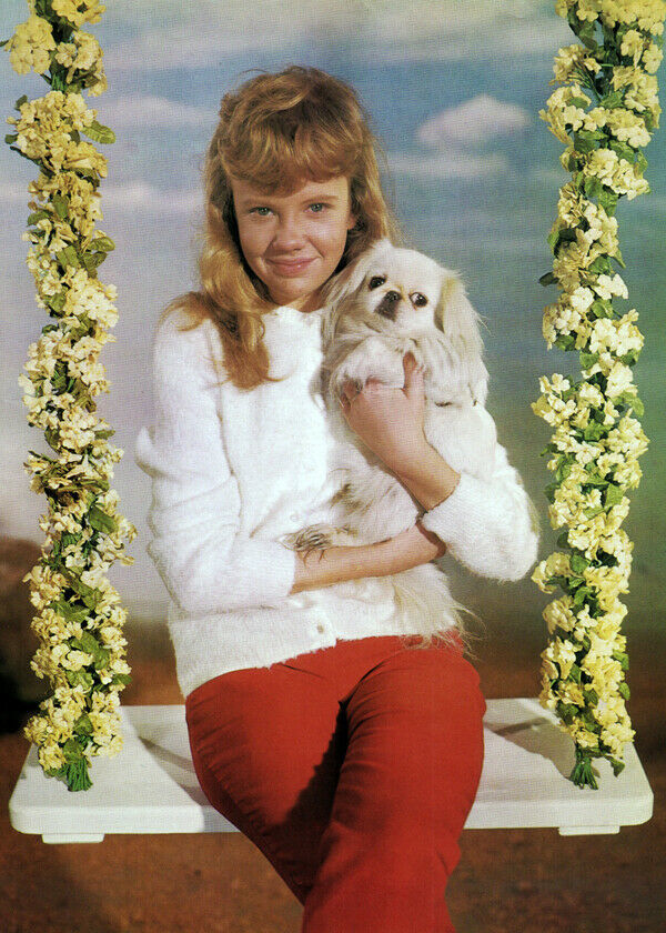 Hayley Mills sitting on swing with small dog 5x7 inch publicity photo ci... - $5.25