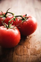 BEST 50 Seeds Easy To Grow Ferline Tomato Juicy Vegetable Tomatoe - $10.00