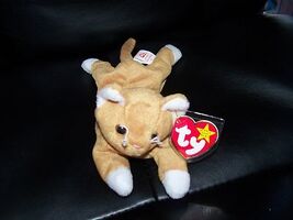 NIP the GOLD CAT TY BEANIE BABY RARE  NEW LAST ONE - $45.90