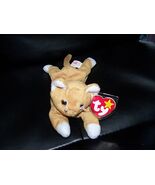 NIP the GOLD CAT TY BEANIE BABY RARE  NEW LAST ONE - $45.90