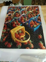 Springbok 500 Piece Jigsaw Puzzle About a Billion Berries Complete 18 x 23 - $19.79