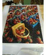 Springbok 500 Piece Jigsaw Puzzle About a Billion Berries Complete 18 x 23 - $27.14 CAD