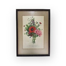 J-Louis Prevost Pensées Pavots Pivoine. No 7 Litografia con Cornice - £145.14 GBP