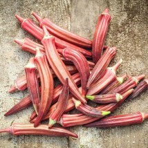 Okra Seeds Jing Orange 30 Ct Asian Vegetable Non-Gmo Heirloom Fresh Garden - £4.85 GBP