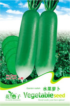 Green Radish Seeds, Original Pack, 50 Seeds / Pack, Organic Heirloom Vegetables  - £3.17 GBP