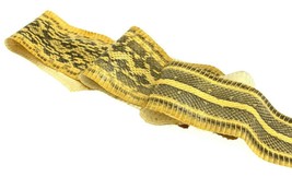 Elaphe Carinata Snake Skin Leather Snakeskin Unbleached Glossy Yellow --... - $226.41 MXN+