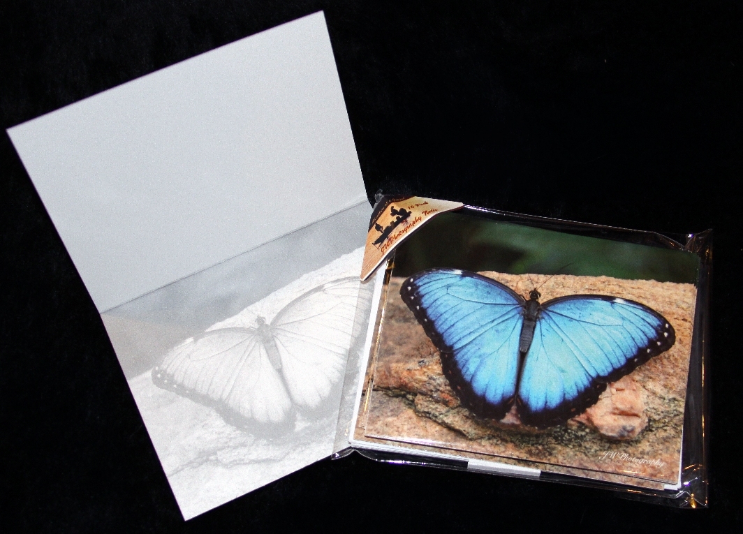 Blue Morpho Butterfly Blank Note Cards Stationery w/ Envelopes 10 Pack - $12.99