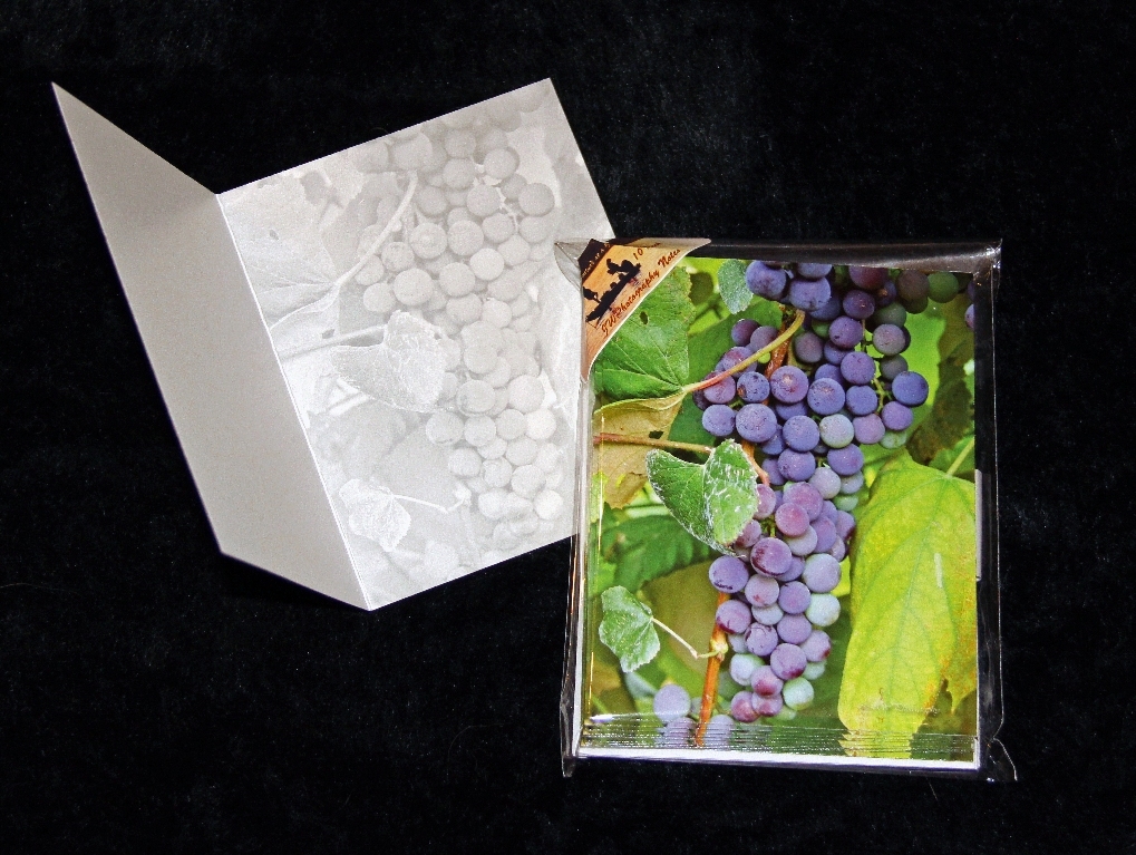 Red Wine Grapes Blank Note Cards Stationery w/ Envelopes 10 Pack - $12.99